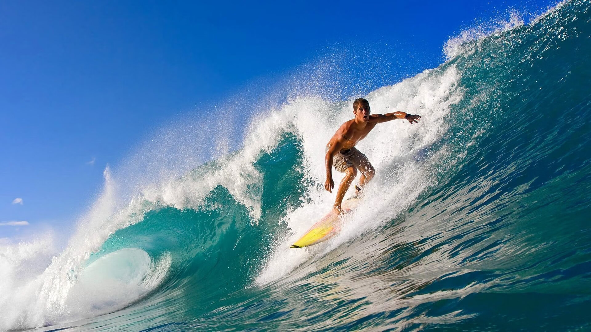 警校格斗技能考核观摩赛 防身技巧展示震撼全场